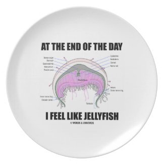 At The End Of The Day I Feel Like Jellyfish Dinner Plate
