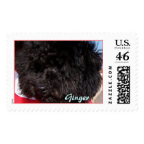 At The Game, Ginger postage by annienbart At The Game, Ginger postage