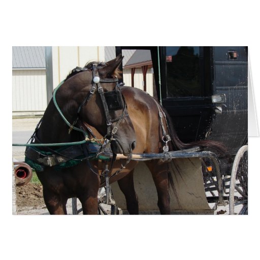 At the Hitching Post Greeting Card
