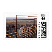 At The Pens postage