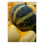 At the Pumpkin Patch Cards
