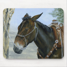 Missouri Gaited Mules
