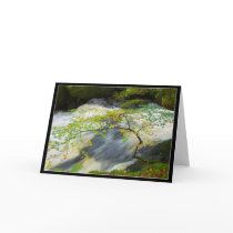 At the waters edge cards by nightsky At the waters edge cards