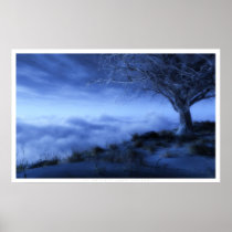 ice, tree, clouds, winter, grass, sky, blue, nature posters, desktop wallpaper, Plakat med brugerdefineret grafisk design