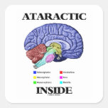 Ataractic Inside (Brain Anatomy Humor) Square Stickers