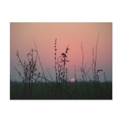 atardecer 025 postcard by azulcita