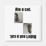 Ate A Cat. magnets