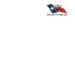 Ladies Destroyed T-Shirt
