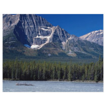 Athabasca River, Icefield Parkway, Alberta, Canada Personalized Flyer