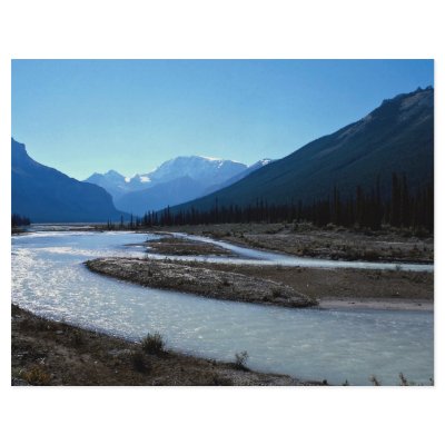 Athabasca River, Icefield Parkway, Alberta, Canada Flyer by beautifulclicks