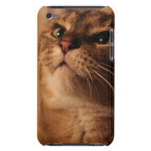 Athena iPod Case-Mate Case