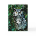 Athena's owl(card) by nefera Athena's owl(card)