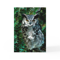 Athena's owl(card)