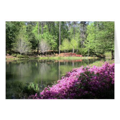 Atlanta Georgia Series Greeting Cards by dlgray