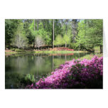 Atlanta Georgia Series cards