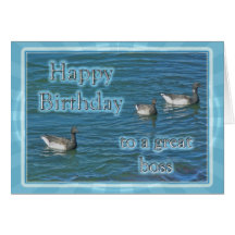 Atlantic Brant Geese Boss Birthday Greeting Cards