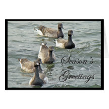 Atlantic Brant Geese Season's Greetings Series Greeting Card