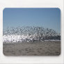 Atlantic City Beach Mouse Mats