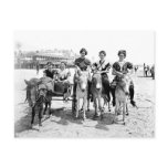 Atlantic City Donkey Rides Postcard