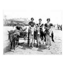 Atlantic City Donkey Rides Postcard