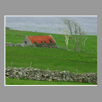 Atlantic Coast Pasture, Ireland postcards