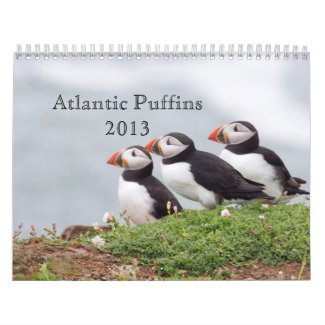 Atlantic Puffin Calendar 2013