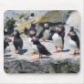 Atlantic Puffin Colony Mouse Pads