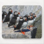 Atlantic Puffin Colony Mouse Pads