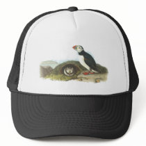 Atlantic Puffin, John Audubon Hats