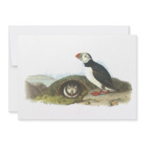 Atlantic Puffin, John Audubon Personalized Invitations