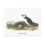 Atlantic Puffin, John Audubon Post Card