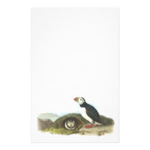 Atlantic Puffin, John Audubon Stationery