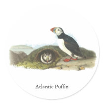 Atlantic Puffin, John Audubon Sticker