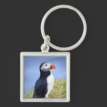 Atlantic Puffin keychains