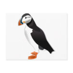 Atlantic Puffin Post Card