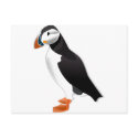 Atlantic Puffin postcards