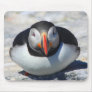 Atlantic Puffin sitting Mousepad