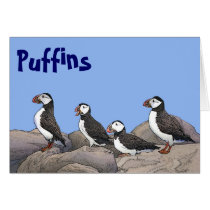 Atlantic Puffins Cards