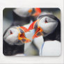 Atlantic Puffins with Beaks Open Mousepads
