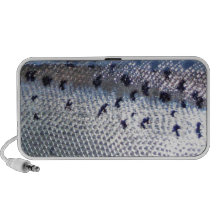Atlantic Salmon - Fish Skin Doodle Speaker