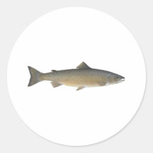 Atlantic Salmon Round Sticker