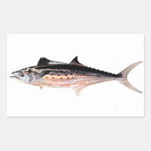 Atlantic Spanish Mackerel Stickers
