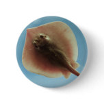 Atlantic Stingray Button