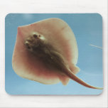 Atlantic Stingray Mousepad