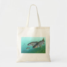 Atlantic Striped Bass Fish Morone Saxatilis Bag