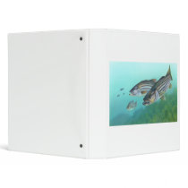 Atlantic Striped Bass Fish Morone Saxatilis Vinyl Binders
