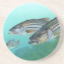 Atlantic Striped Bass Fish Morone Saxatilis Coasters