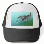 Atlantic Striped Bass Fish Morone Saxatilis Trucker Hats