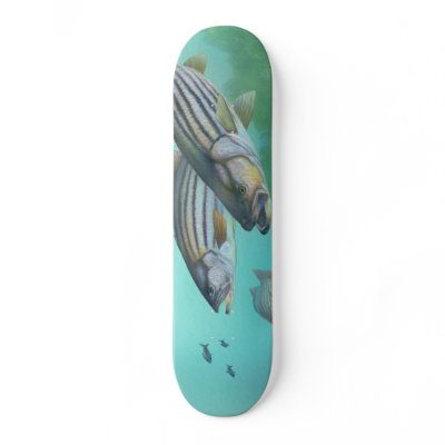 Atlantic Striped Bass Fish Morone Saxatilis Skateboard by wallarts