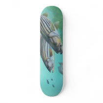 Atlantic Striped Bass Fish Morone Saxatilis Skateboard